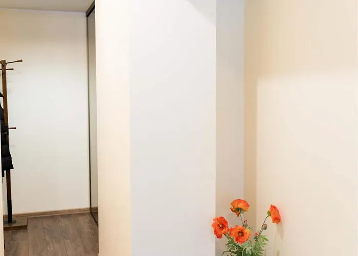 דירה Your Apartment.